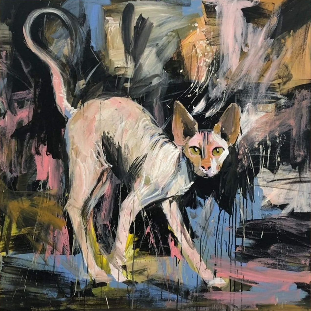 SPHYNX CAT 46"x46"