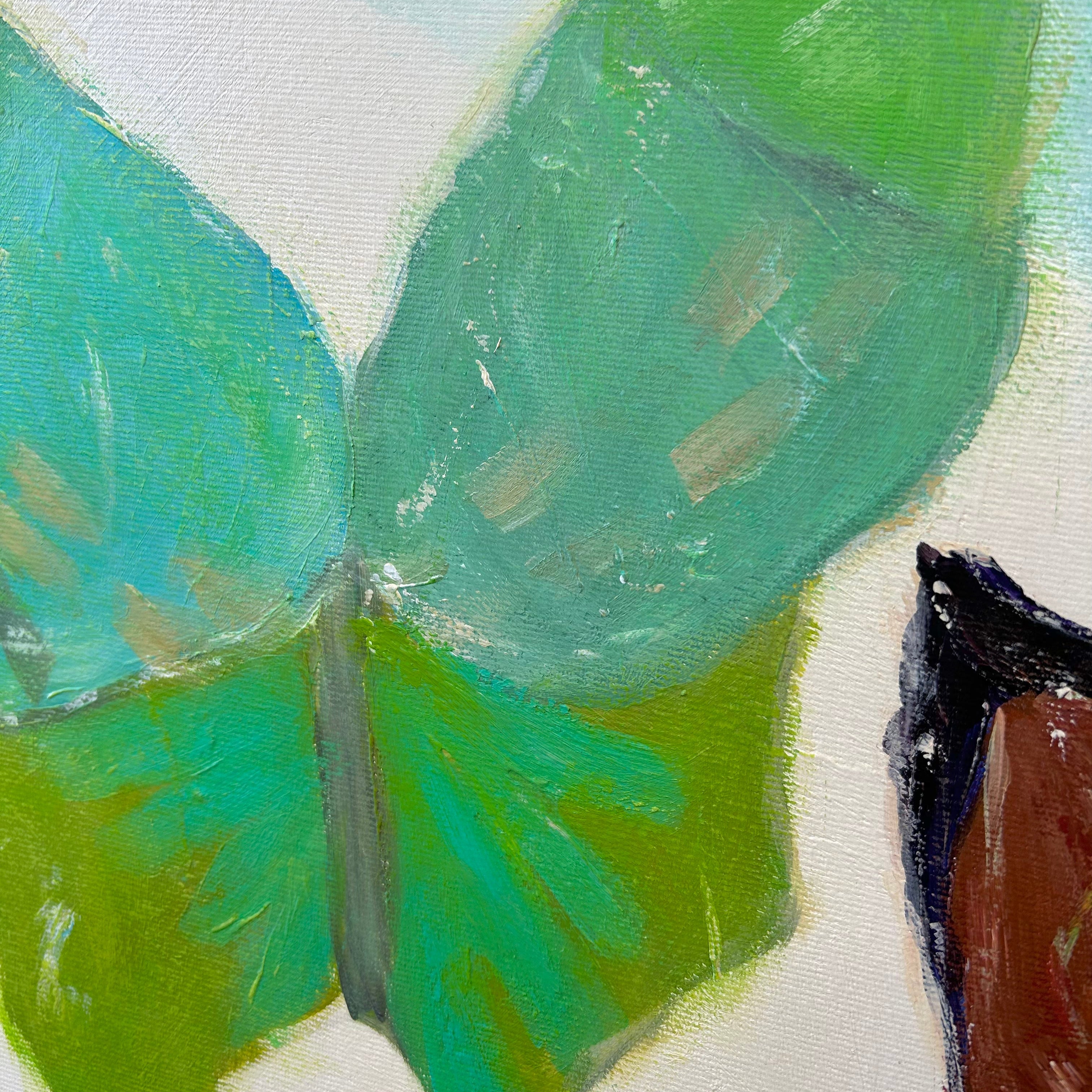 GARDEN OF GENTLE WINGS