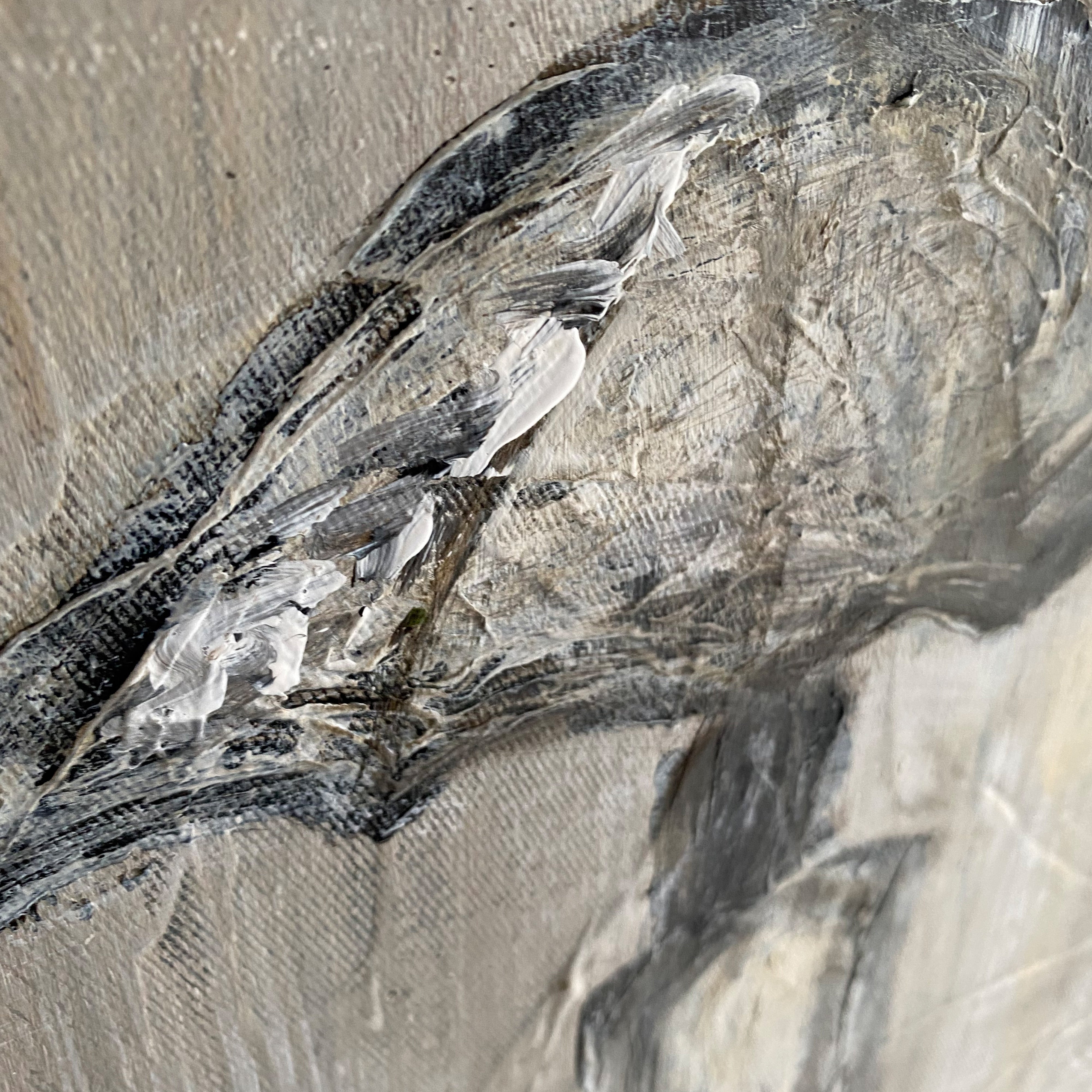 SILENT STROLL 26"x26"