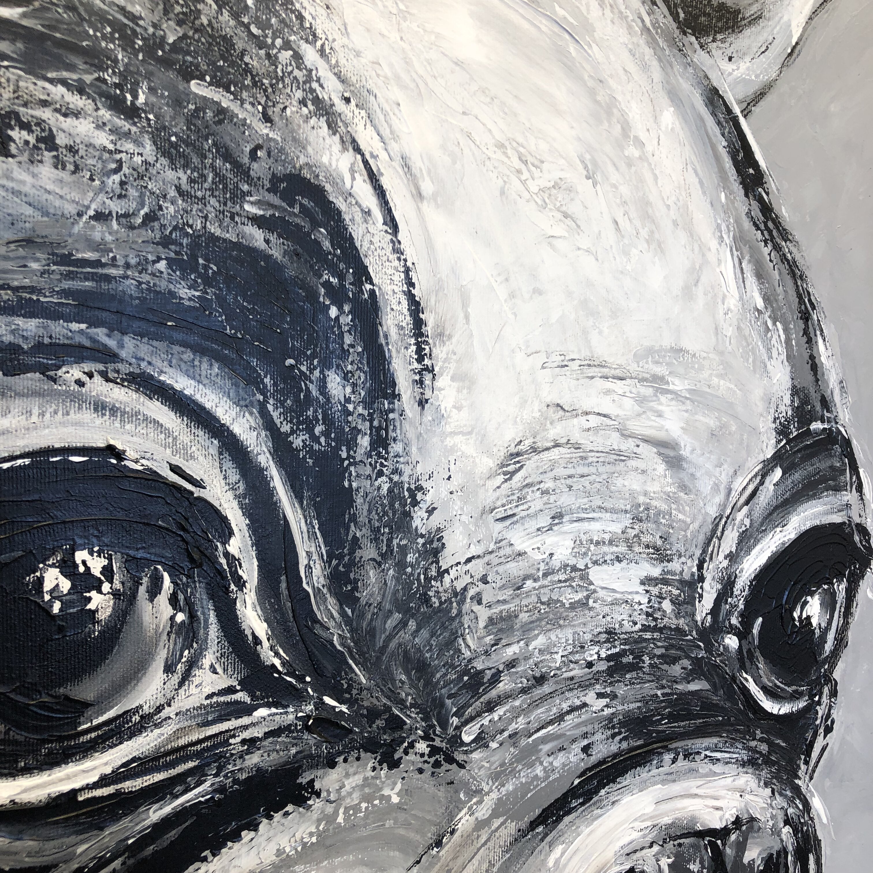 BULLDOG BENNY 32"x32"
