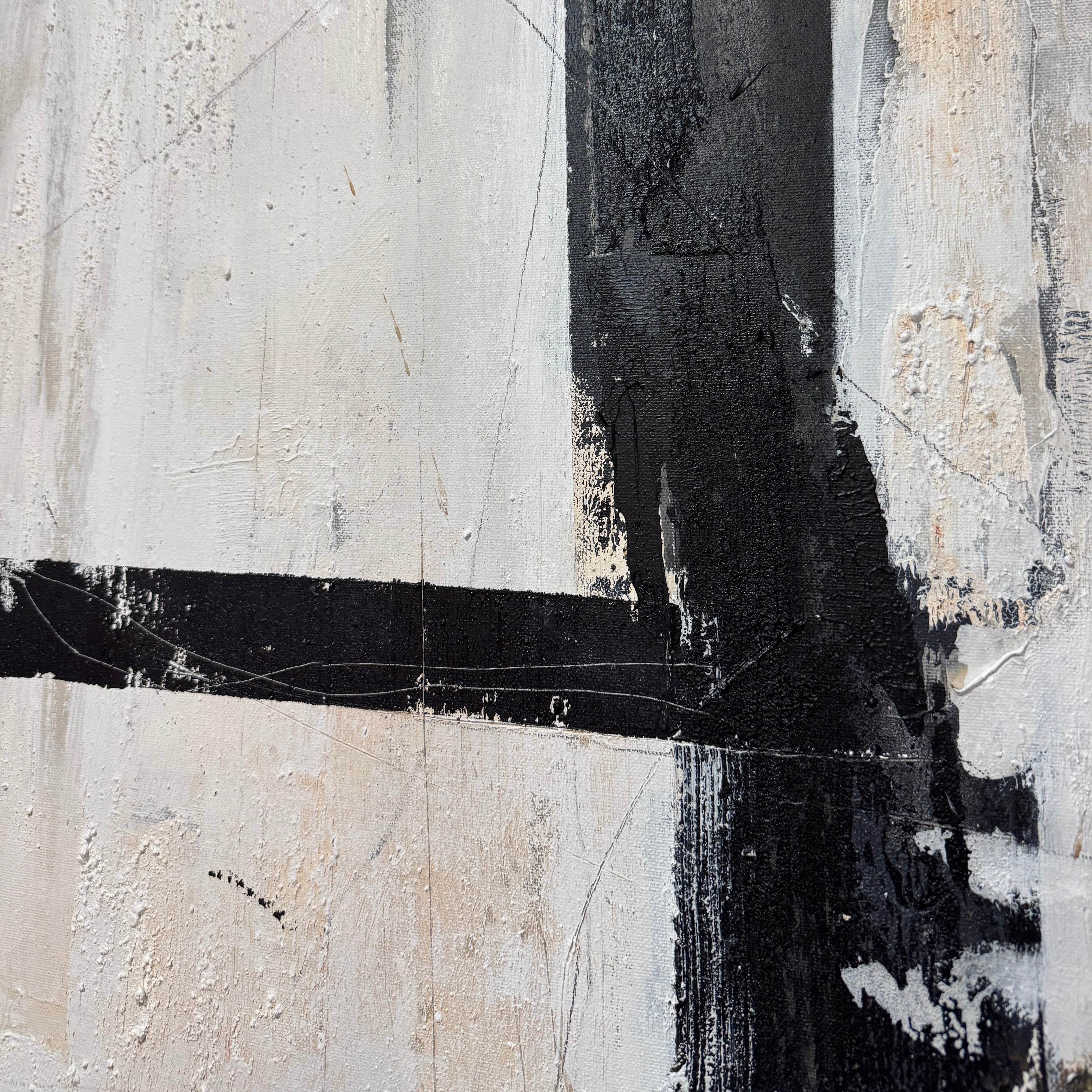 CONTRASTING REALMS 46"x46"