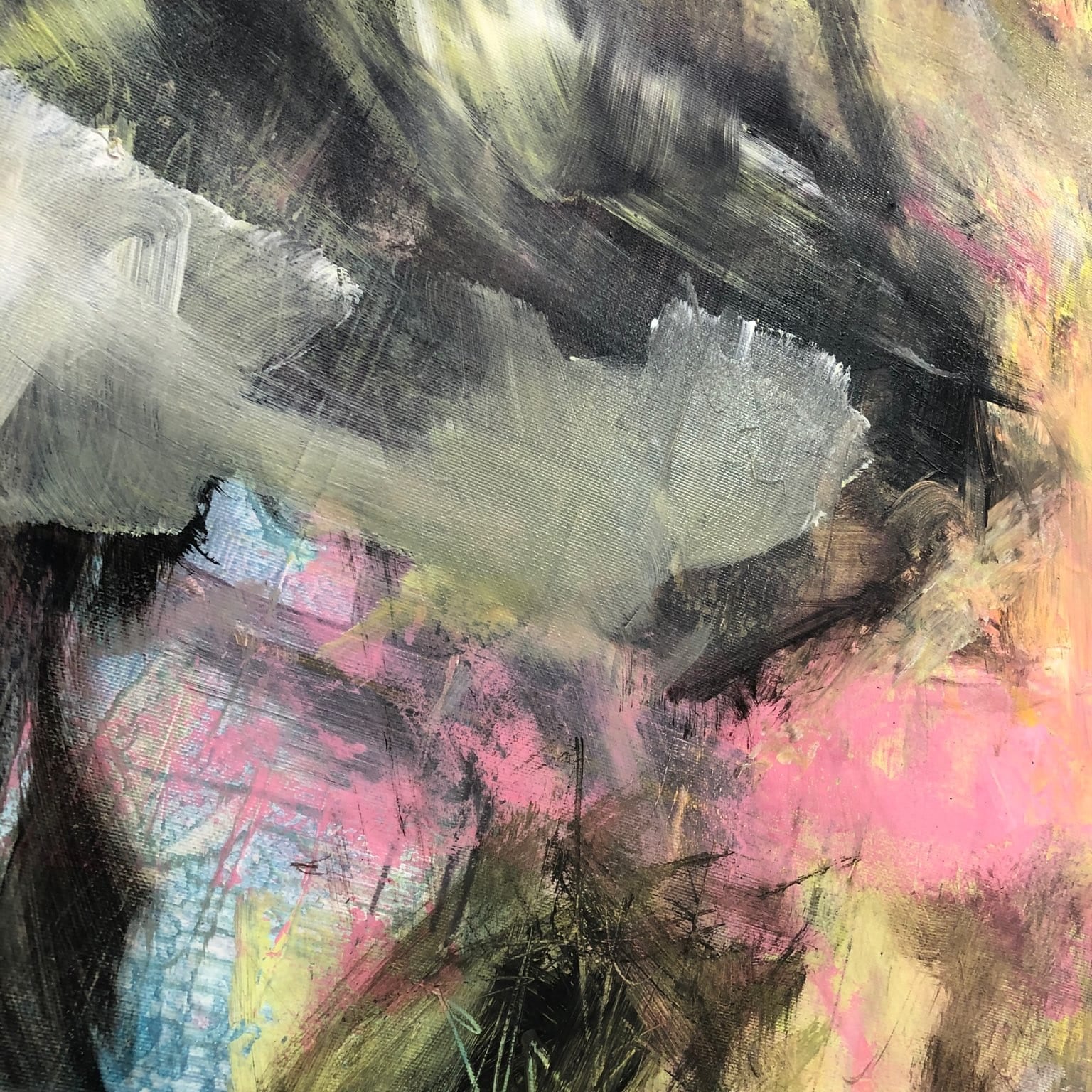 MORNING IN THE FOREST