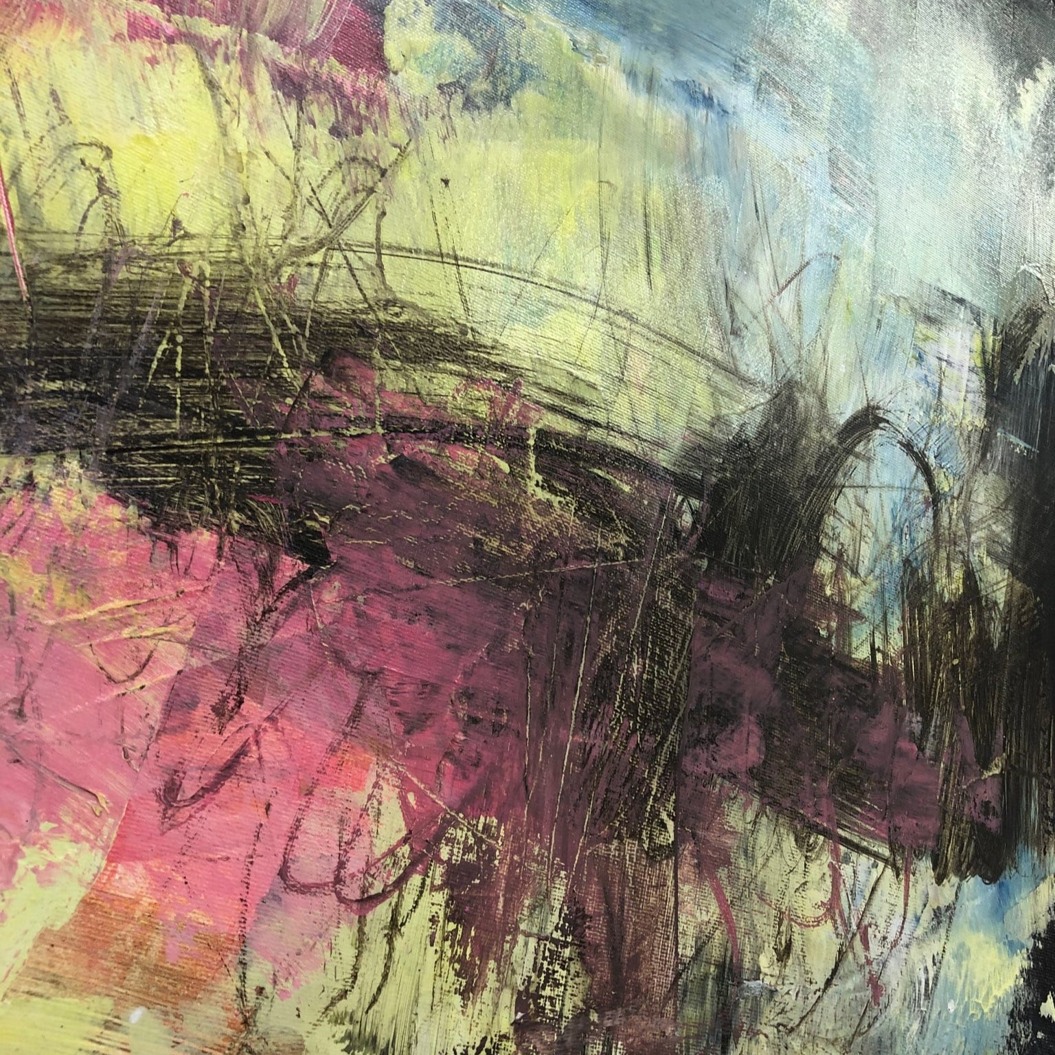 MORNING IN THE FOREST