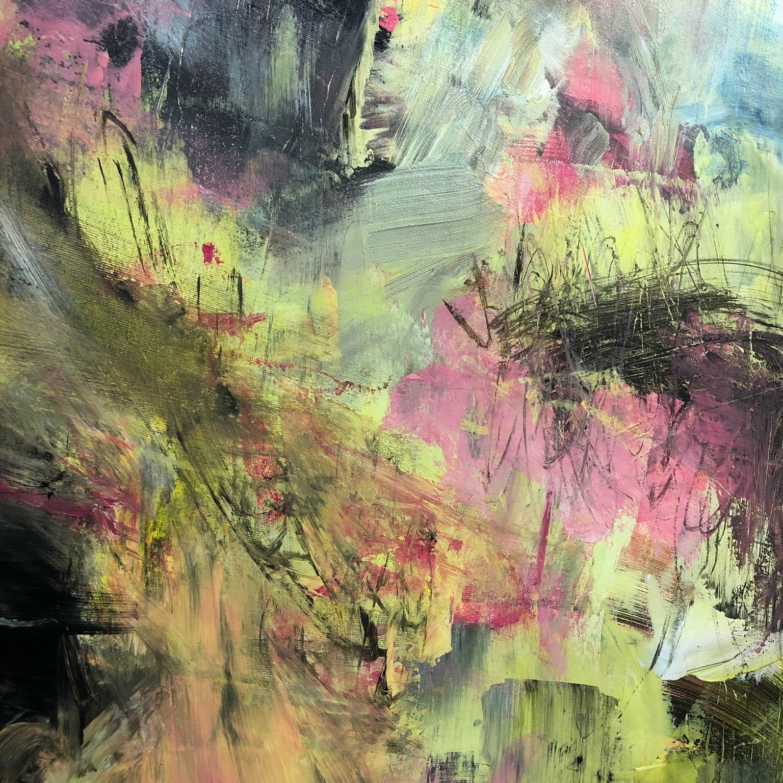 MORNING IN THE FOREST