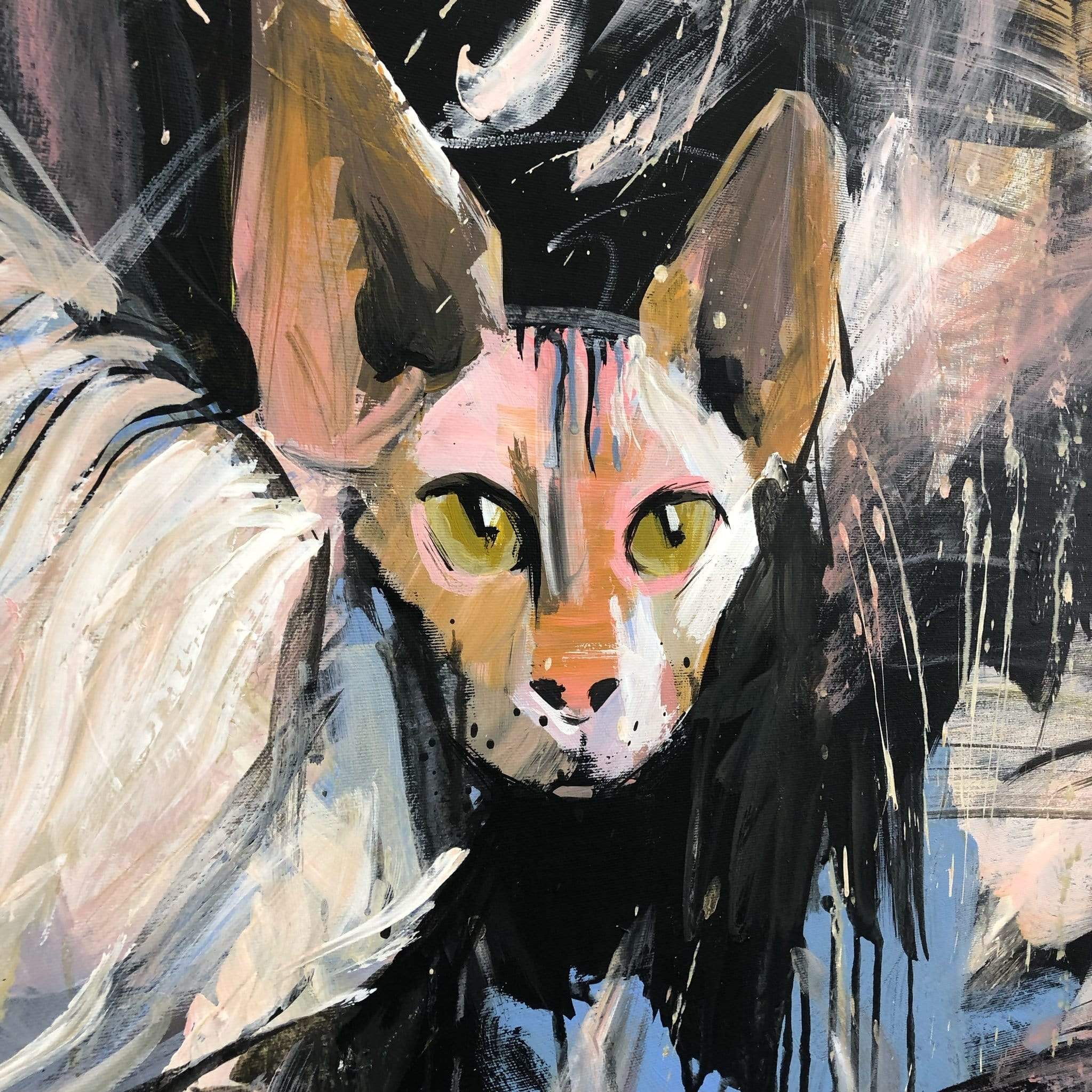 SPHYNX CAT 46"x46"