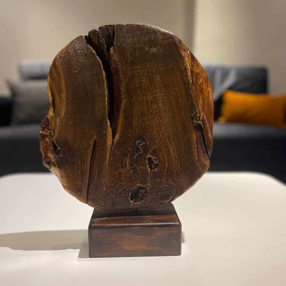 THE MOON 14.5"x11.8"