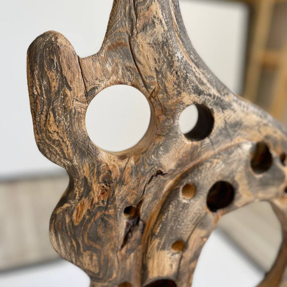 RAYS OF LIFE 28.7"x15.7"