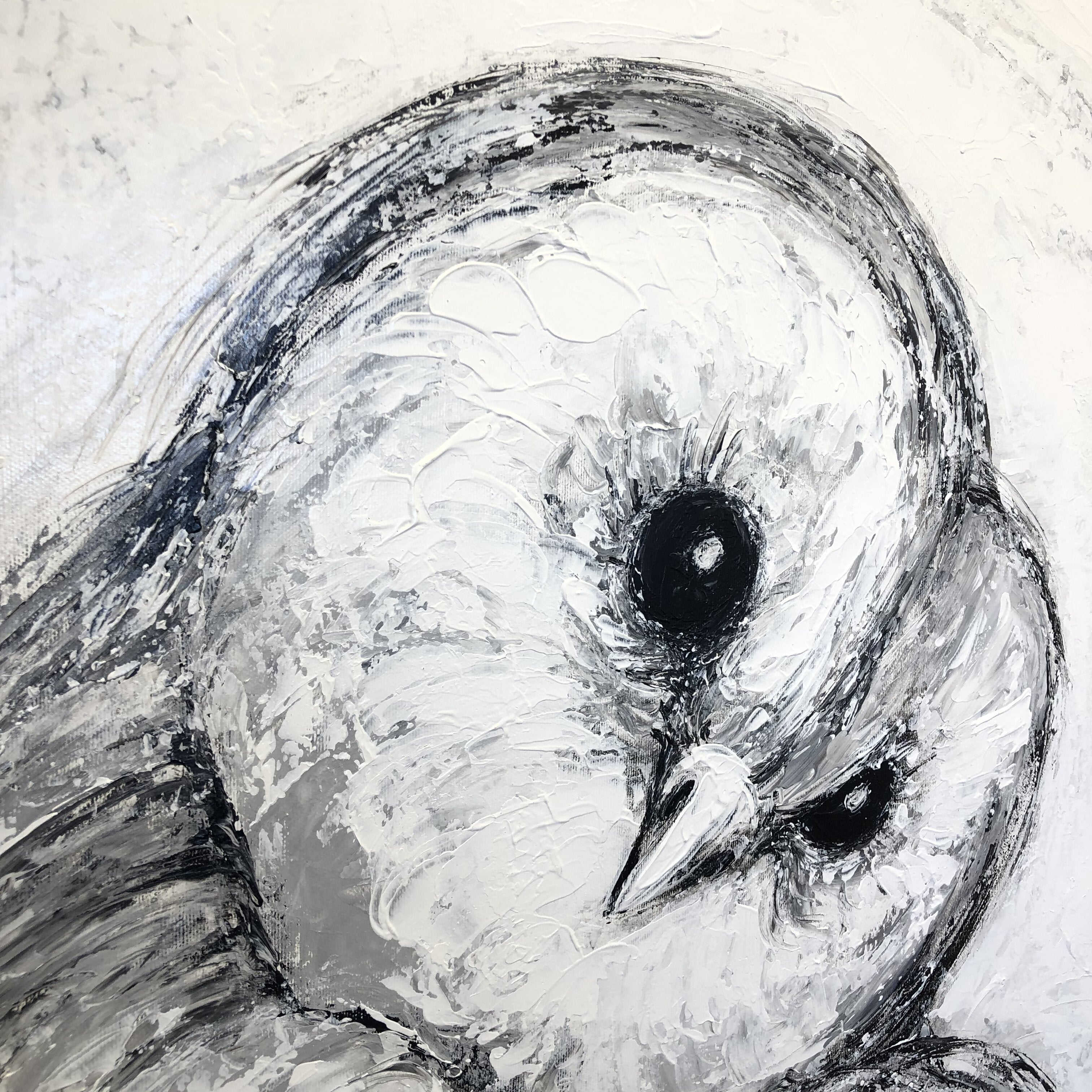 BARN OWL 39.3"x39.3"