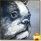 BULLDOG BENNY 32"x32"