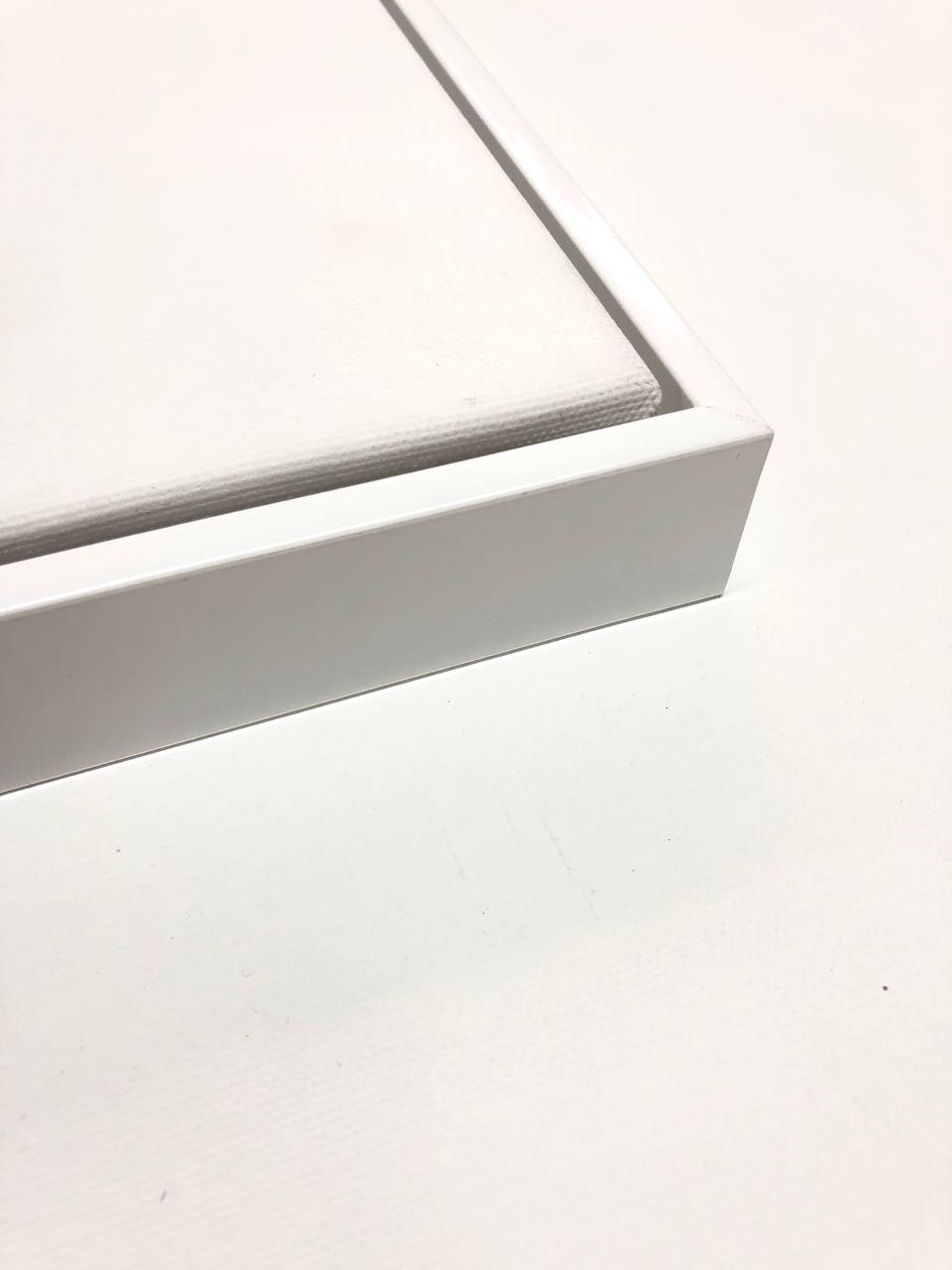 Custom invoice for additional cost for the white frame for Elzira Prophete